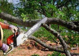 Best Lot and Land Clearing  in Fair Oaks, CA