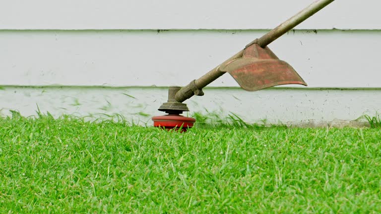 Best Sod Installation  in Fair Oaks, CA