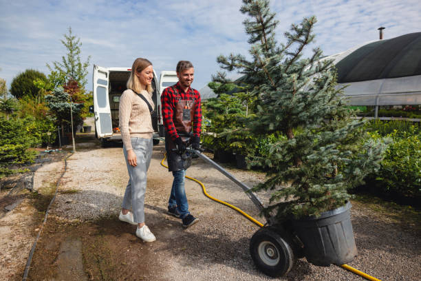 Best Weed Control  in Fair Oaks, CA